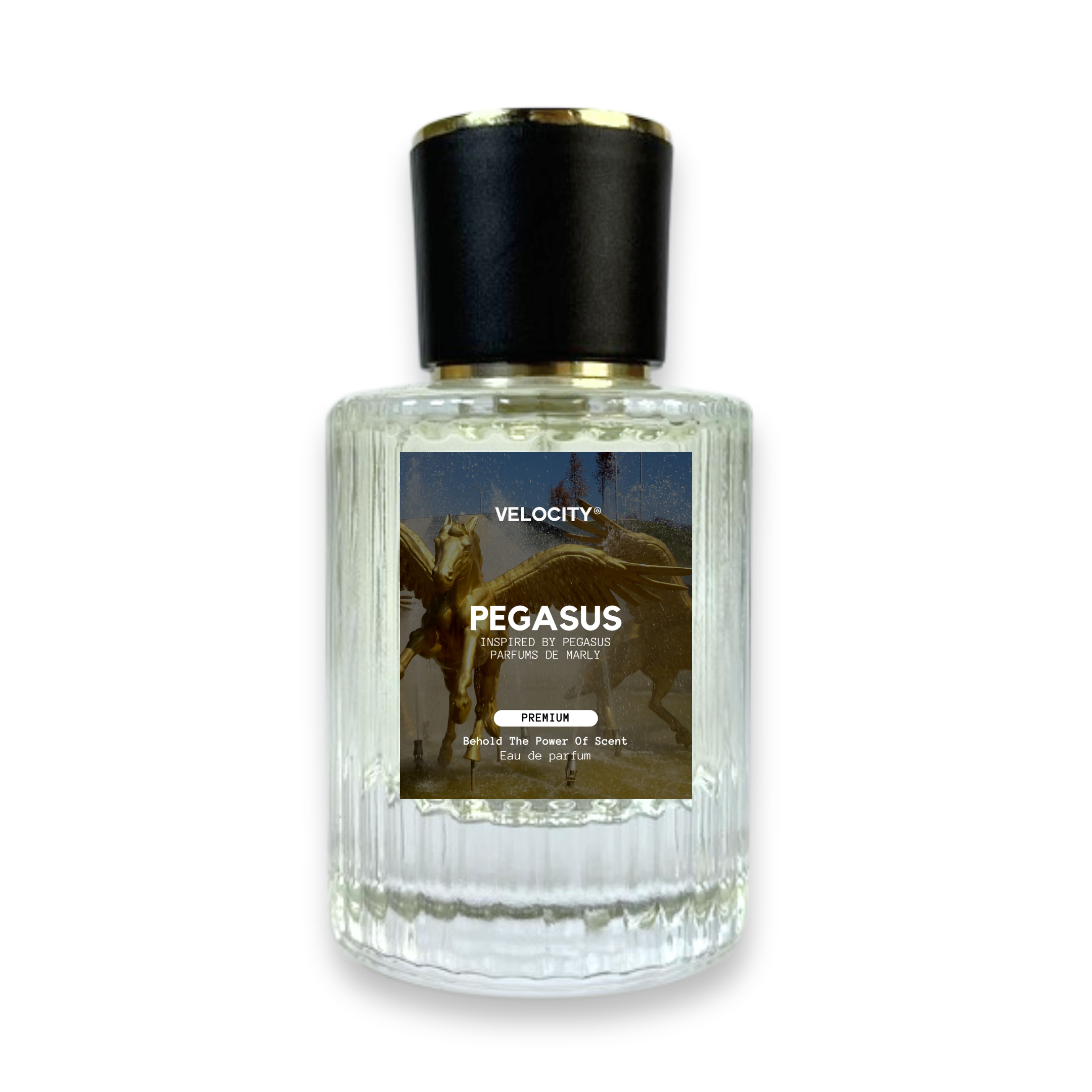 Silver Stallion