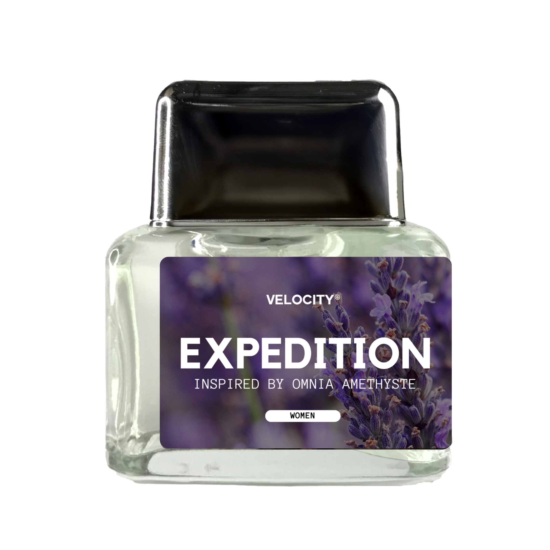 EXPEDITION